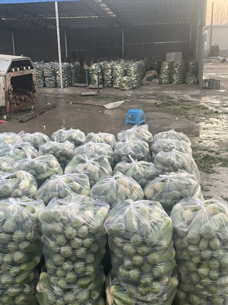 需要的朋友可以联系我