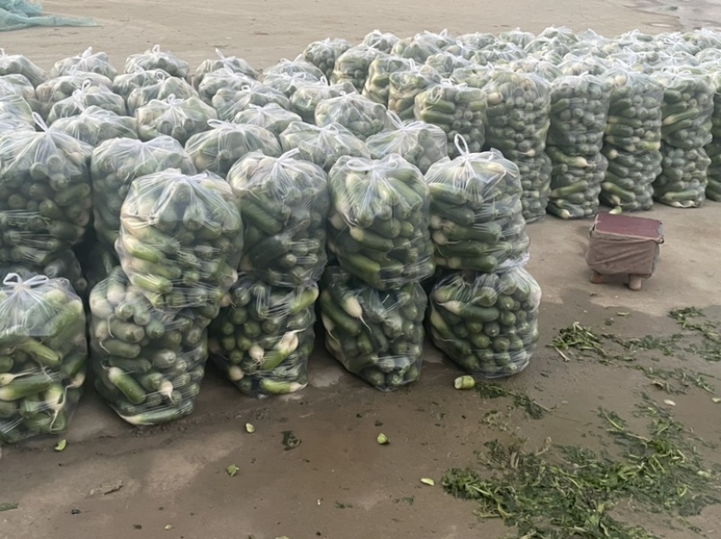 需要的朋友可以联系我