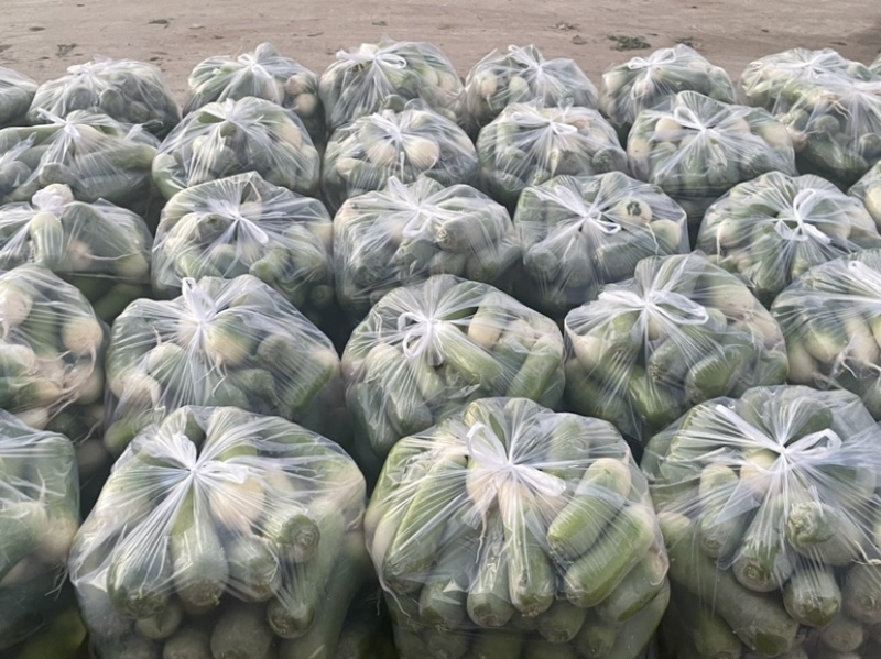需要的朋友可以联系我