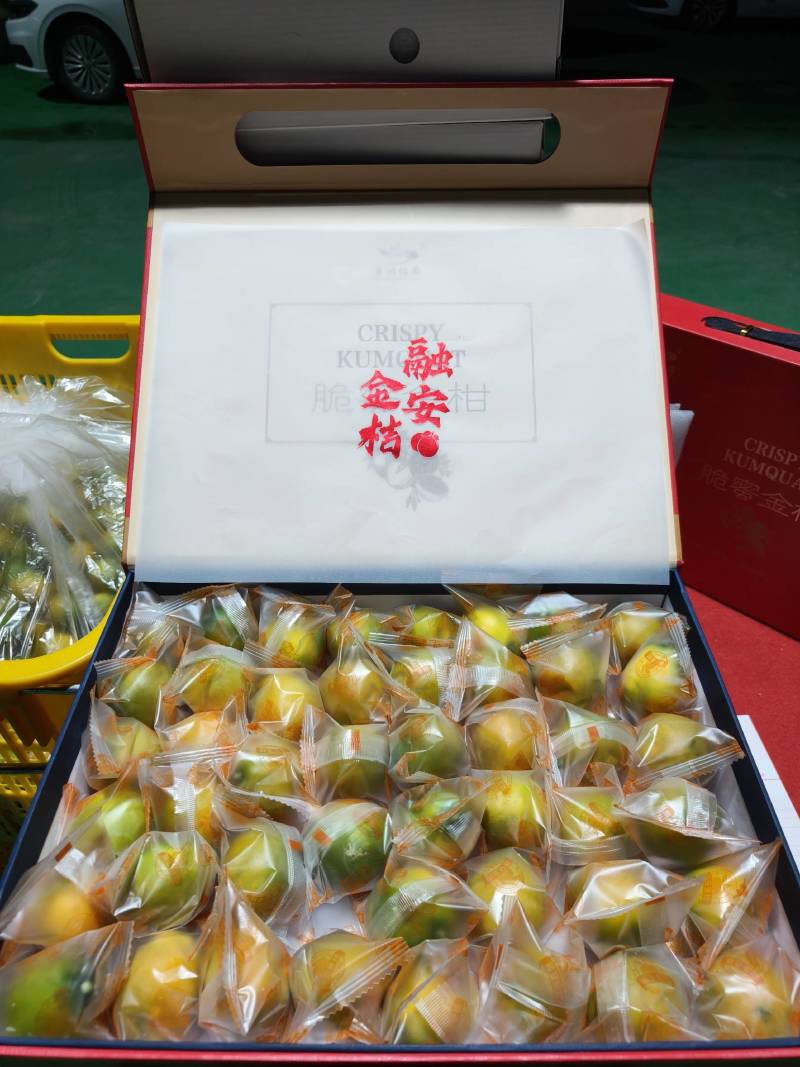广西融安-脆蜜金桔（糖果装）23度甜多汁无籽精品礼盒装