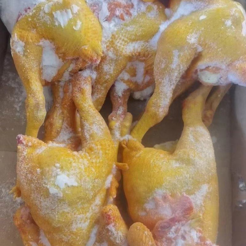 黄脚大冠公鸡，全净膛，半净膛都有，规格齐全