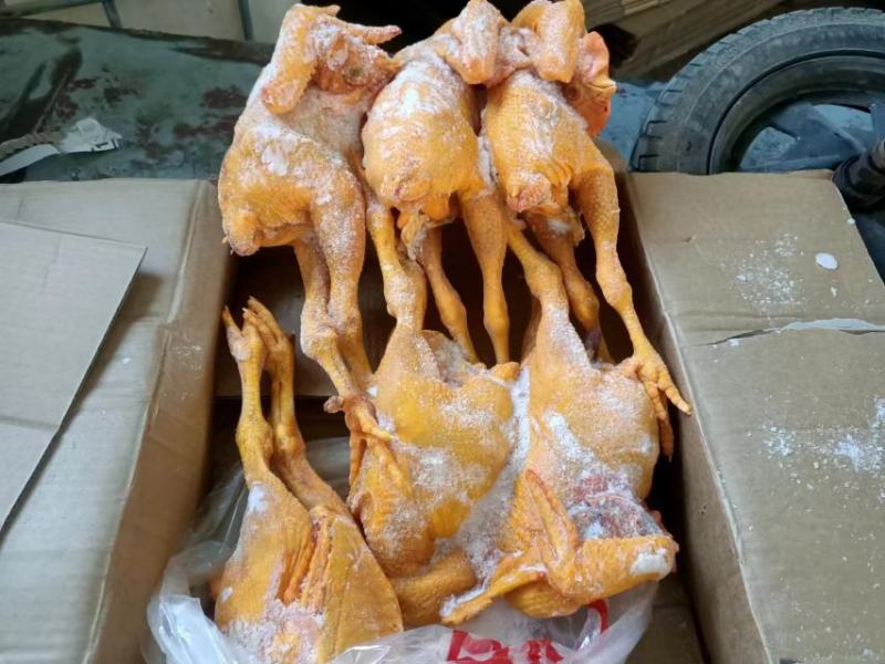 黄脚大冠公鸡，全净膛，半净膛都有，规格齐全