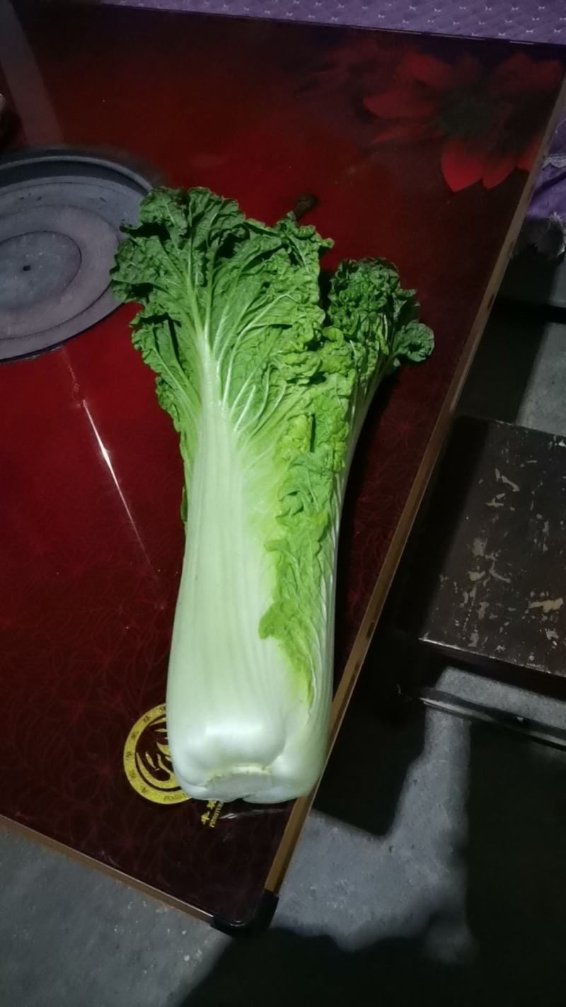 基地直供青麻叶。