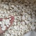 山药鲜切片祥泰药材栈中药材批发零售实物拍摄量多从优