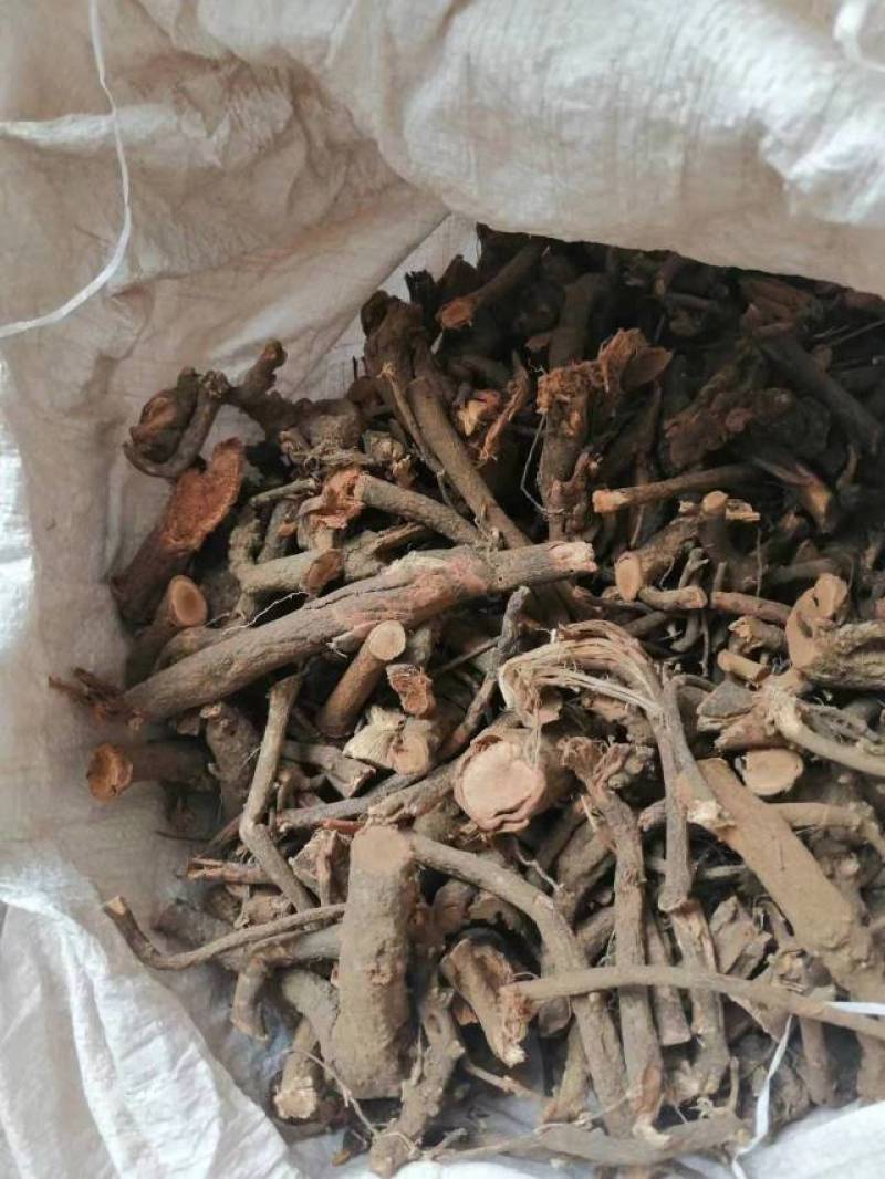 中药大红袍产地批发一首货源价格实惠诚信经营