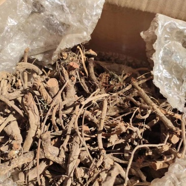中药大红袍产地批发一首货源价格实惠诚信经营