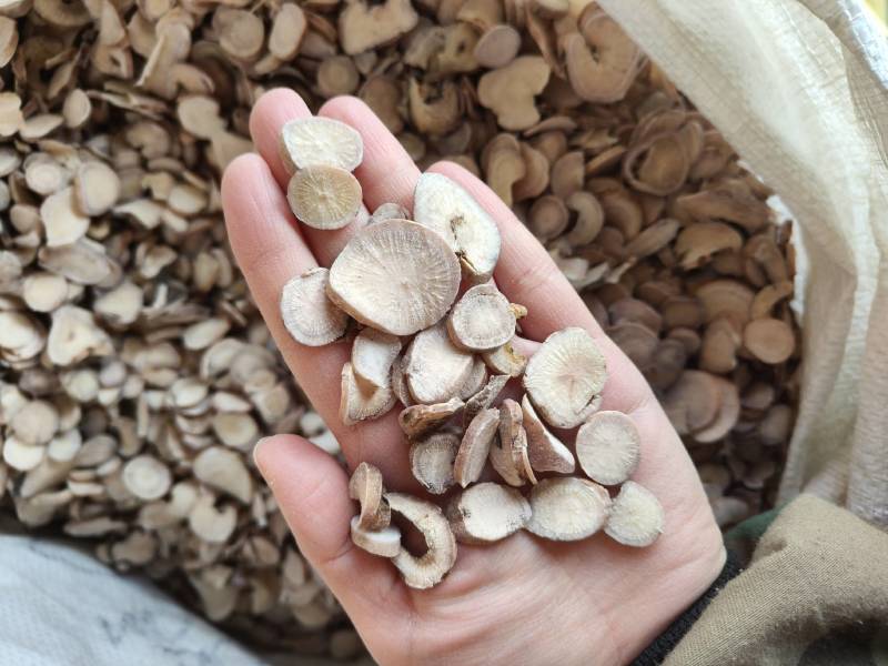 白芍今年新货祥泰药材栈中药材批发零售实物拍摄量多从优