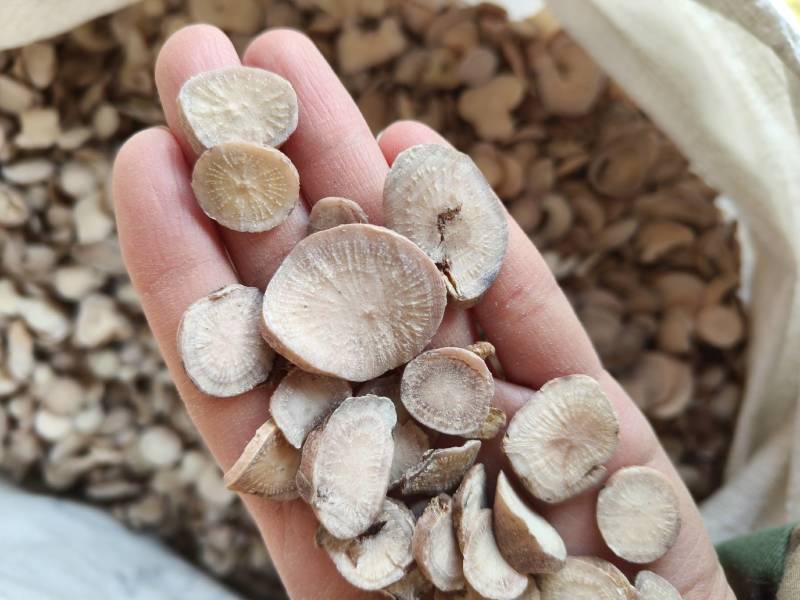 白芍今年新货祥泰药材栈中药材批发零售实物拍摄量多从优