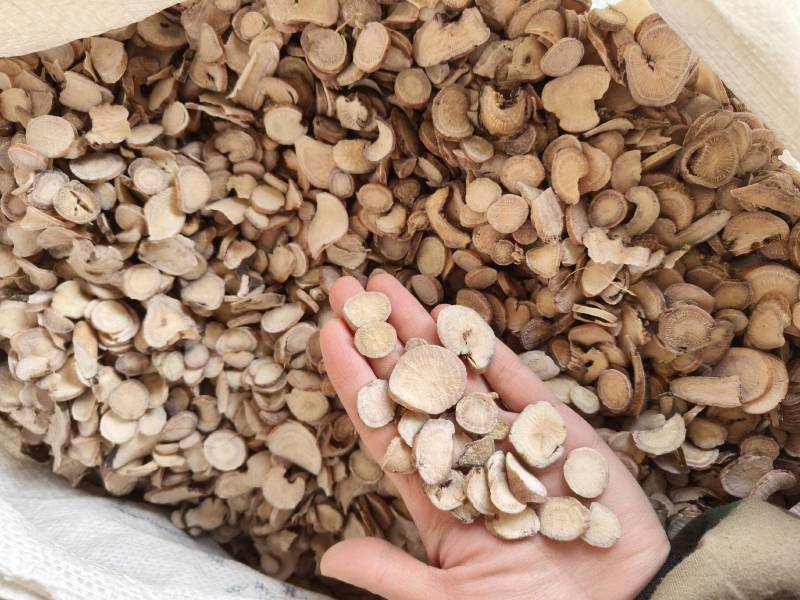 白芍今年新货祥泰药材栈中药材批发零售实物拍摄量多从优