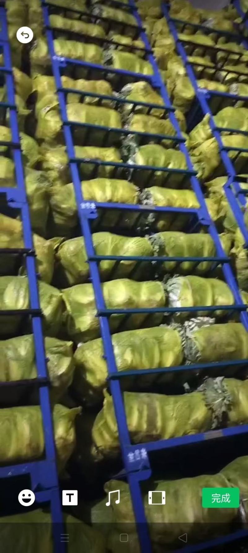 专业储存白菜，收购储存销售一条龙服务欢迎采购
