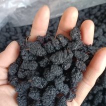 桑椹，大粒黑桑椹干，水洗无碎粒，欢迎选购，支持在线下单