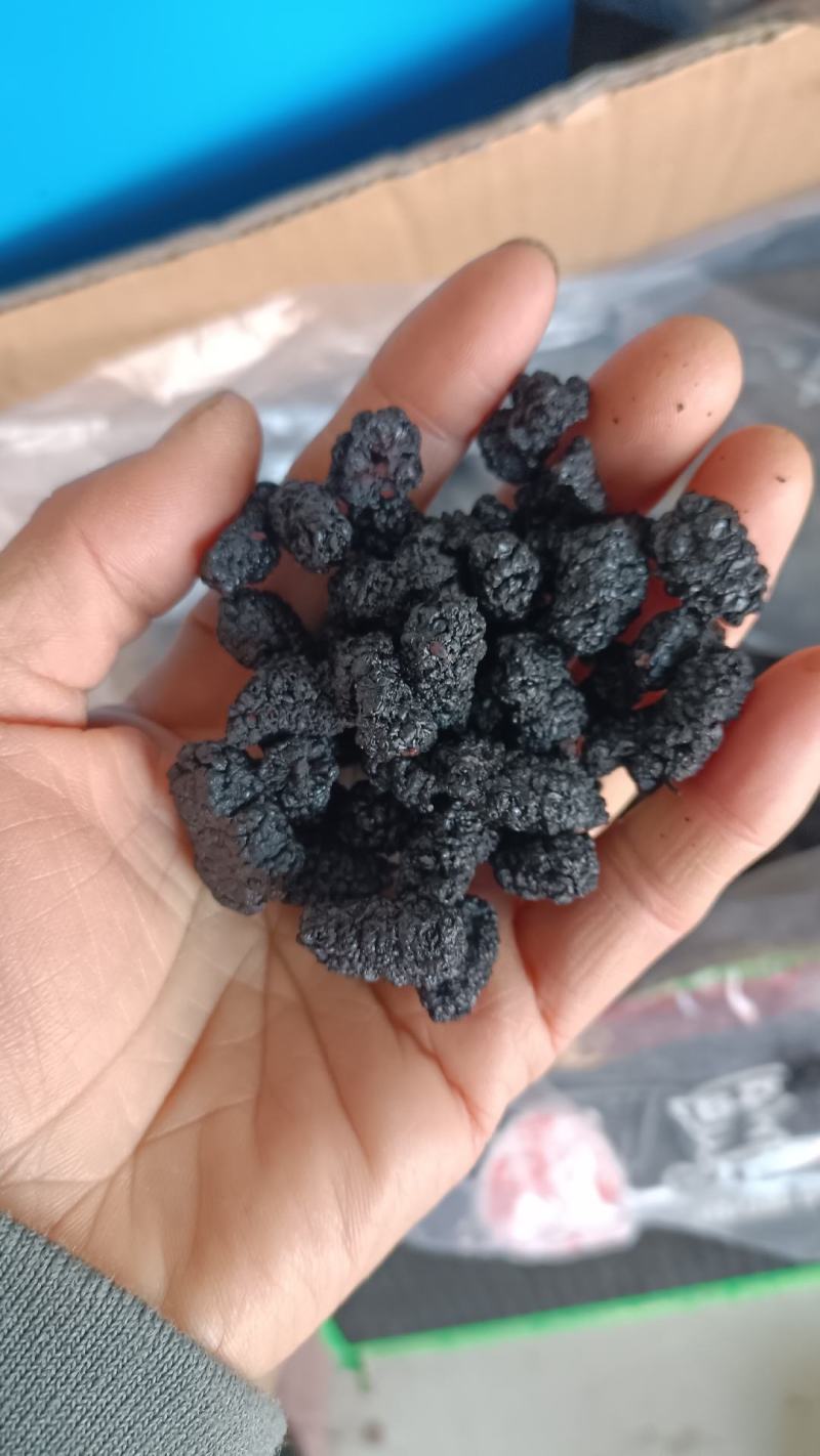 桑椹，大粒黑桑椹干，水洗无碎粒，欢迎选购，支持在线下单