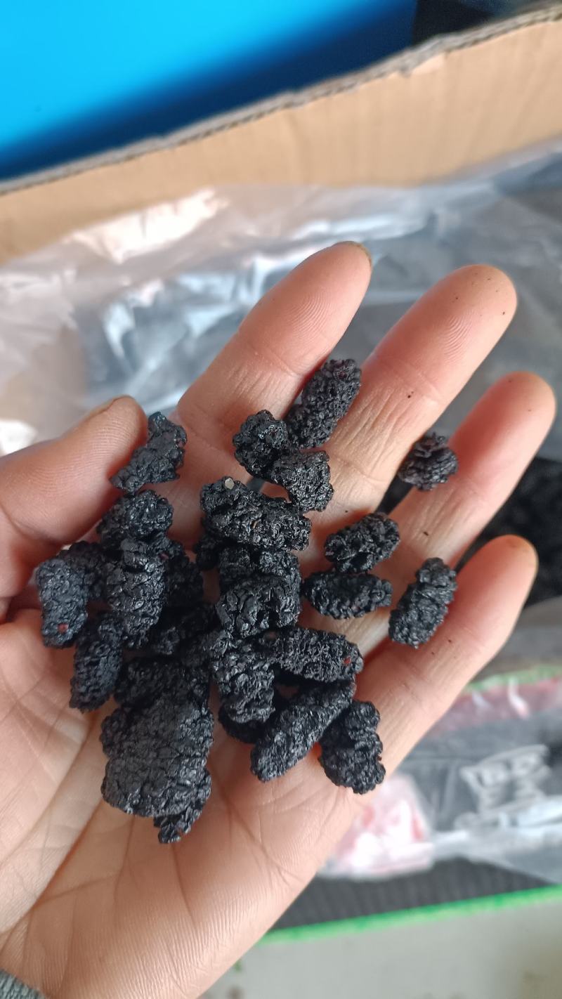 桑椹，大粒黑桑椹干，水洗无碎粒，欢迎选购，支持在线下单