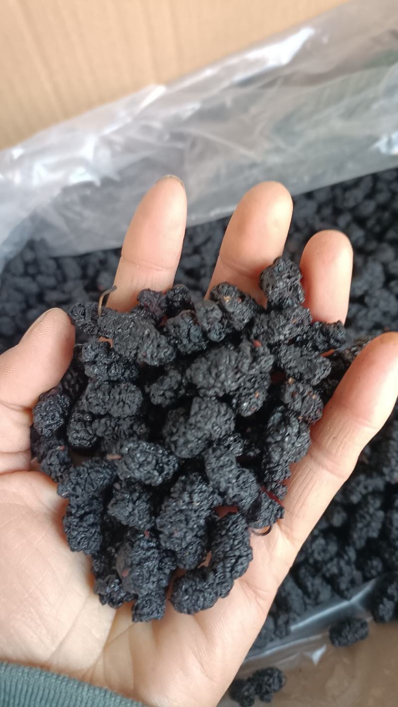 桑椹，大粒黑桑椹干，水洗无碎粒，欢迎选购，支持在线下单