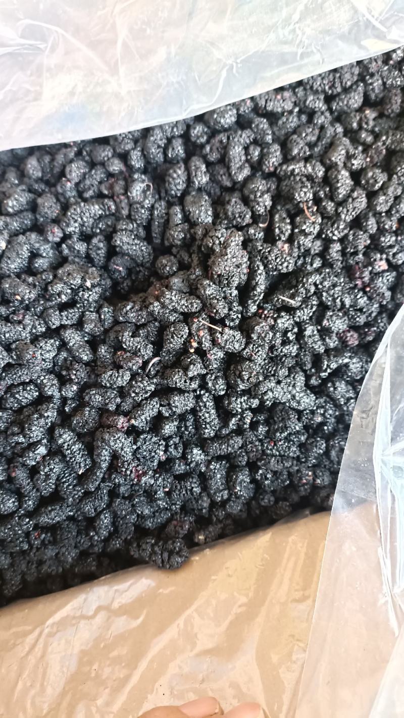桑椹，大粒黑桑椹干，水洗无碎粒，欢迎选购，支持在线下单