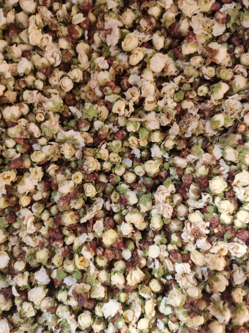 绿鄂梅，绿梅花，白梅花代抓各种药方不满意可以退换货