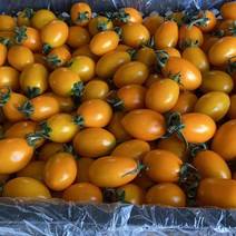 黄柿子，基地种植。各种规格打包。期待跟老板合作。