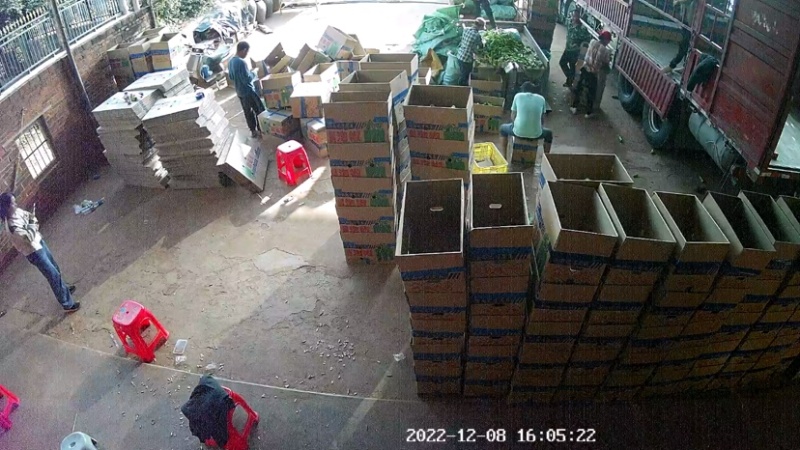 广东省英利镇辣椒代购中心螺丝椒螺丝线青皮尖椒