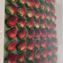 妙香草莓，纯甜无酸口