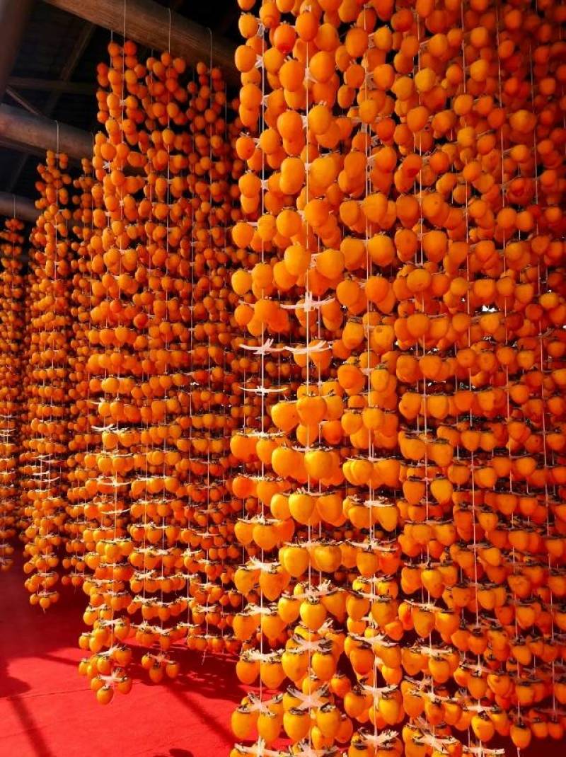 富平柿饼，1000斤起订