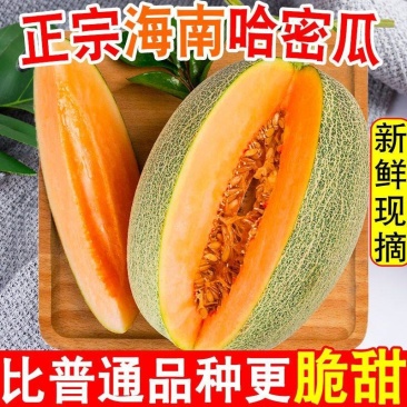 【热销产品】正宗海南哈密瓜25号晓蜜大量热销中