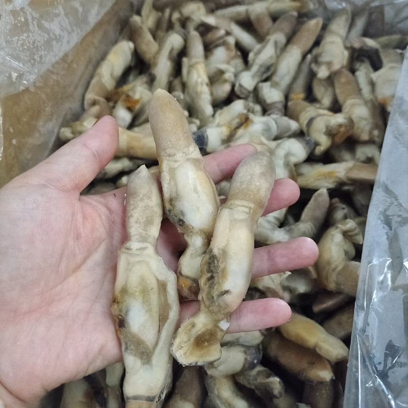 蛏肉无沙蛏肉，剪嘴，有冰衣，吨起发货，冷藏车，运费自理