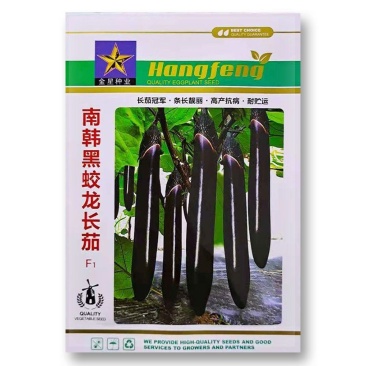 黑蛟龙当季长茄种子早熟高产抗病耐专用适广性强茄子种籽大田