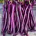 杭研紫红长茄种子高产早熟口感好超长线茄绵软四季种蔬菜种籽