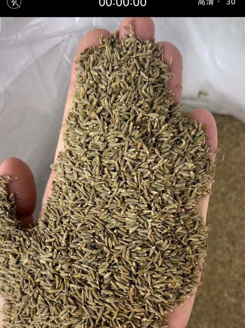 进口孜然碎颗粒新疆孜然碎颗粒