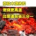 广西荔枝果树木炭