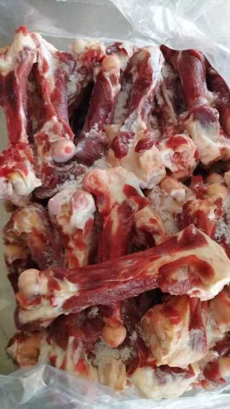 内蒙古锡林郭勒草地羔羊肉棒骨，肉大骨髓多，口感好。