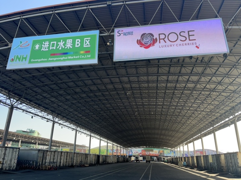 智利进口车厘子一件带发专业电商供应链可来仓库直播