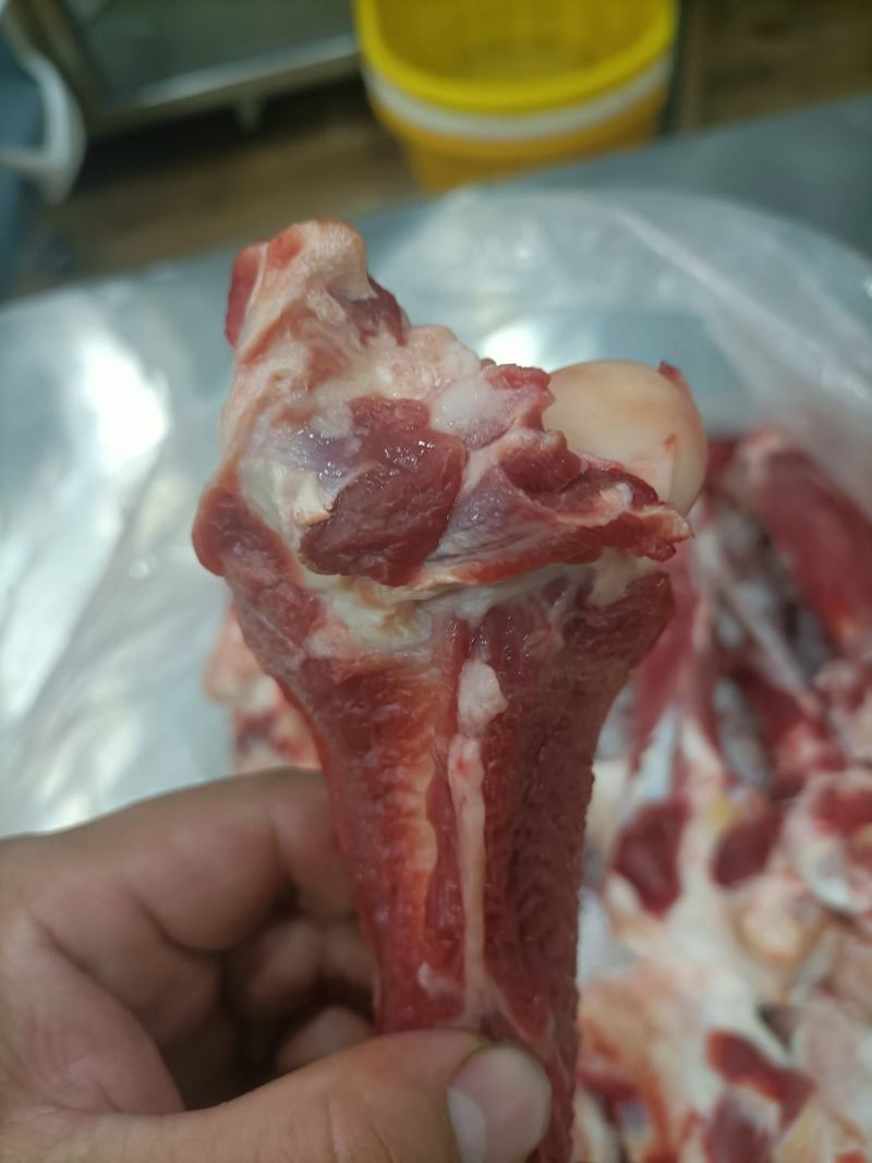 内蒙古锡林郭勒草地羔羊肉棒骨，肉大骨髓多，口感好。