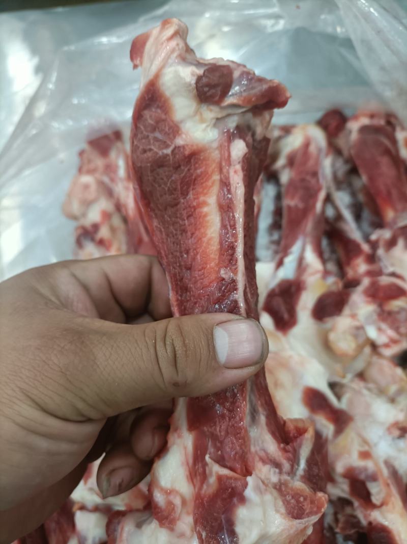 内蒙古锡林郭勒草地羔羊肉棒骨，肉大骨髓多，口感好。