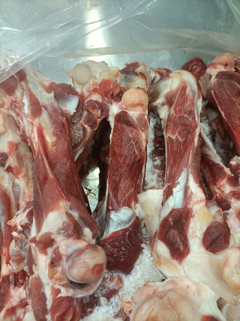内蒙古锡林郭勒草地羔羊肉棒骨，肉大骨髓多，口感好。