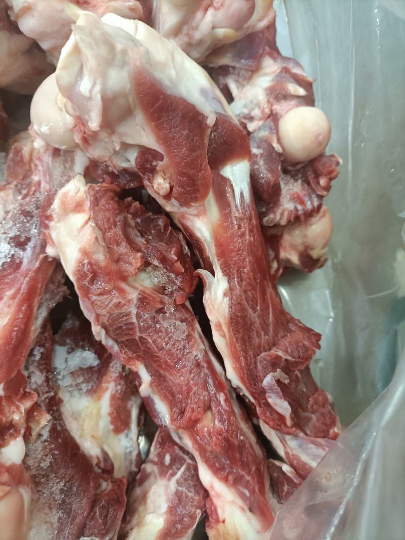 内蒙古锡林郭勒草地羔羊肉棒骨，肉大骨髓多，口感好。