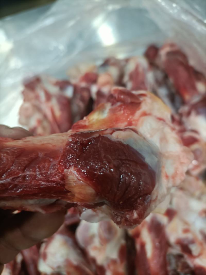 内蒙古锡林郭勒草地羔羊肉棒骨，肉大骨髓多，口感好。
