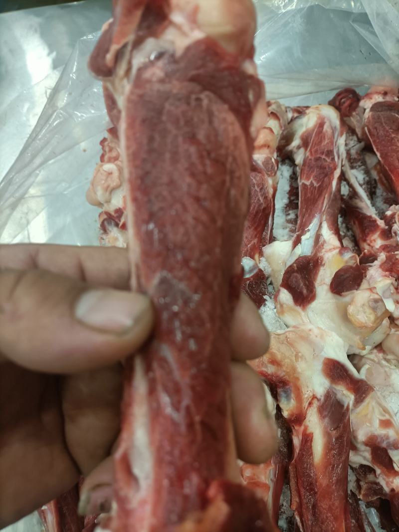 内蒙古锡林郭勒草地羔羊肉棒骨，肉大骨髓多，口感好。