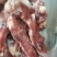 内蒙古锡林郭勒草地羔羊肉棒骨，肉大骨髓多，口感好。