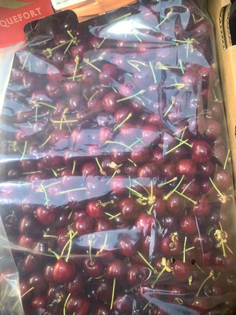 智利进口车厘子一件带发专业电商供应链可来仓库直播