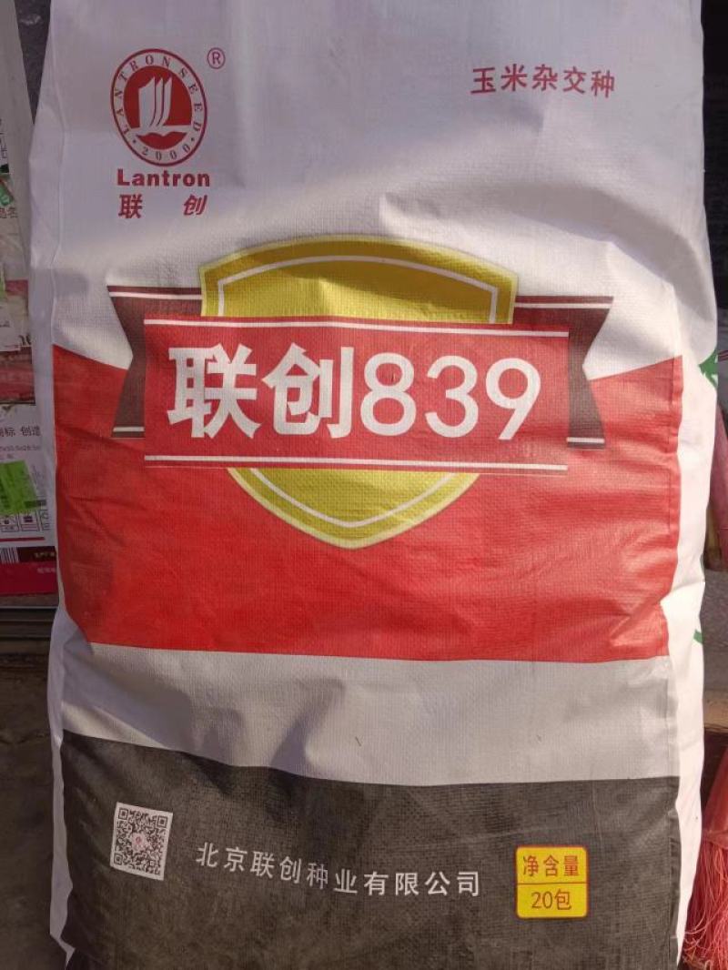 联创839超大穗不花粒，抗病强，优质玉米种子