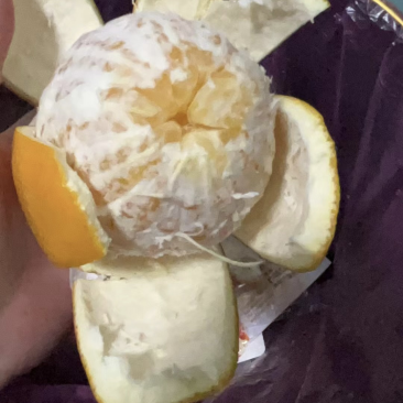正宗赣南脐橙脐橙，大量有货，果园直发，没有中间商