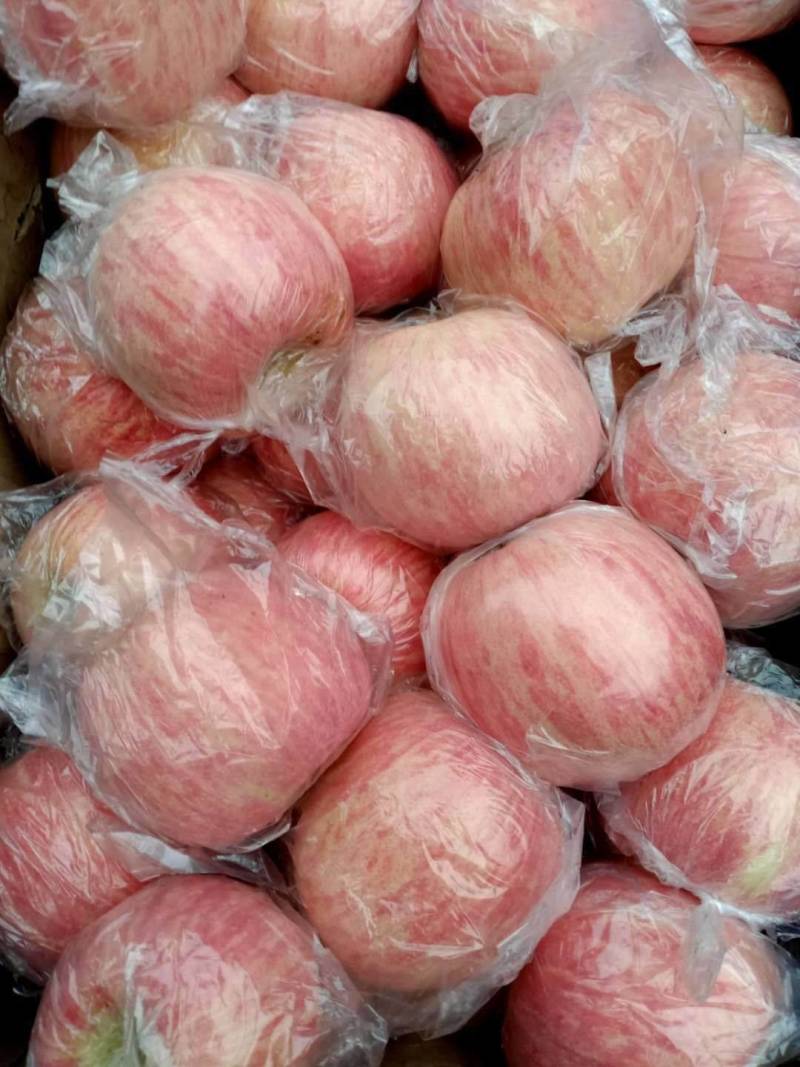 山西万荣精品纸夹膜条纹冰糖心苹果，个大脆甜，货源充足！