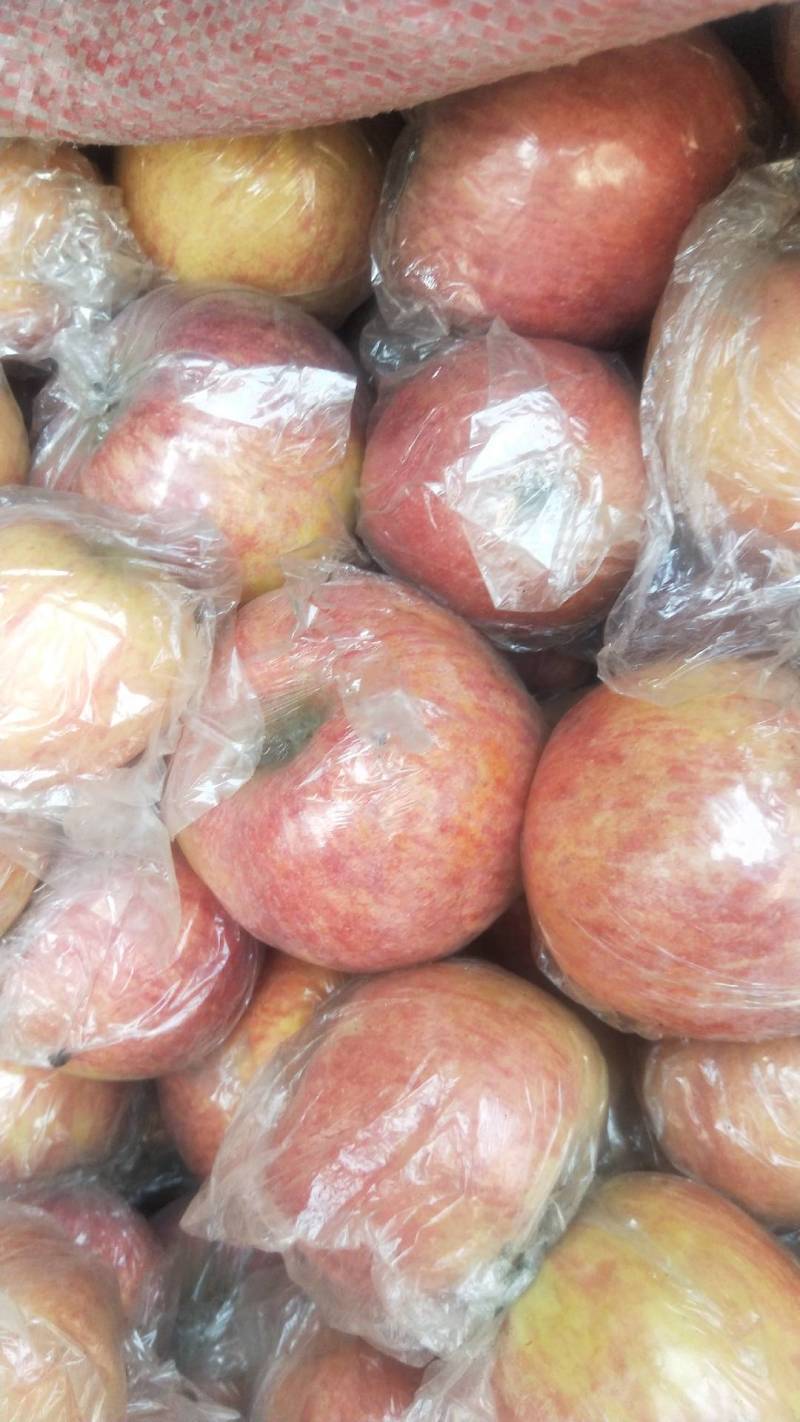 山西万荣精品纸夹膜条纹冰糖心苹果，个大脆甜，货源充足！