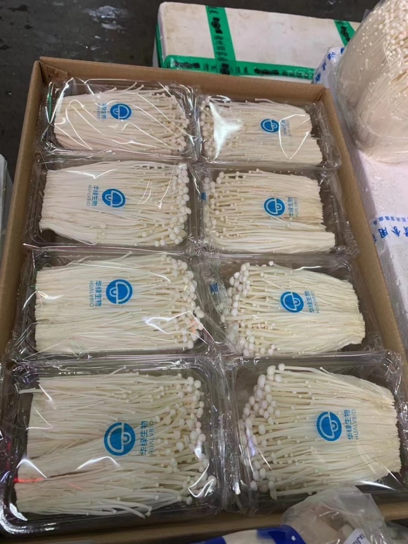 华绿金针菇200g托盘24盒/件