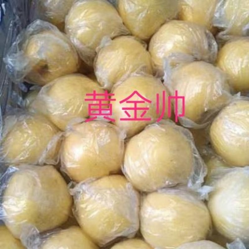 黄金帅75起步大量出库