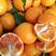 资中塔罗科血橙，对接各大电商，市场，社区团购