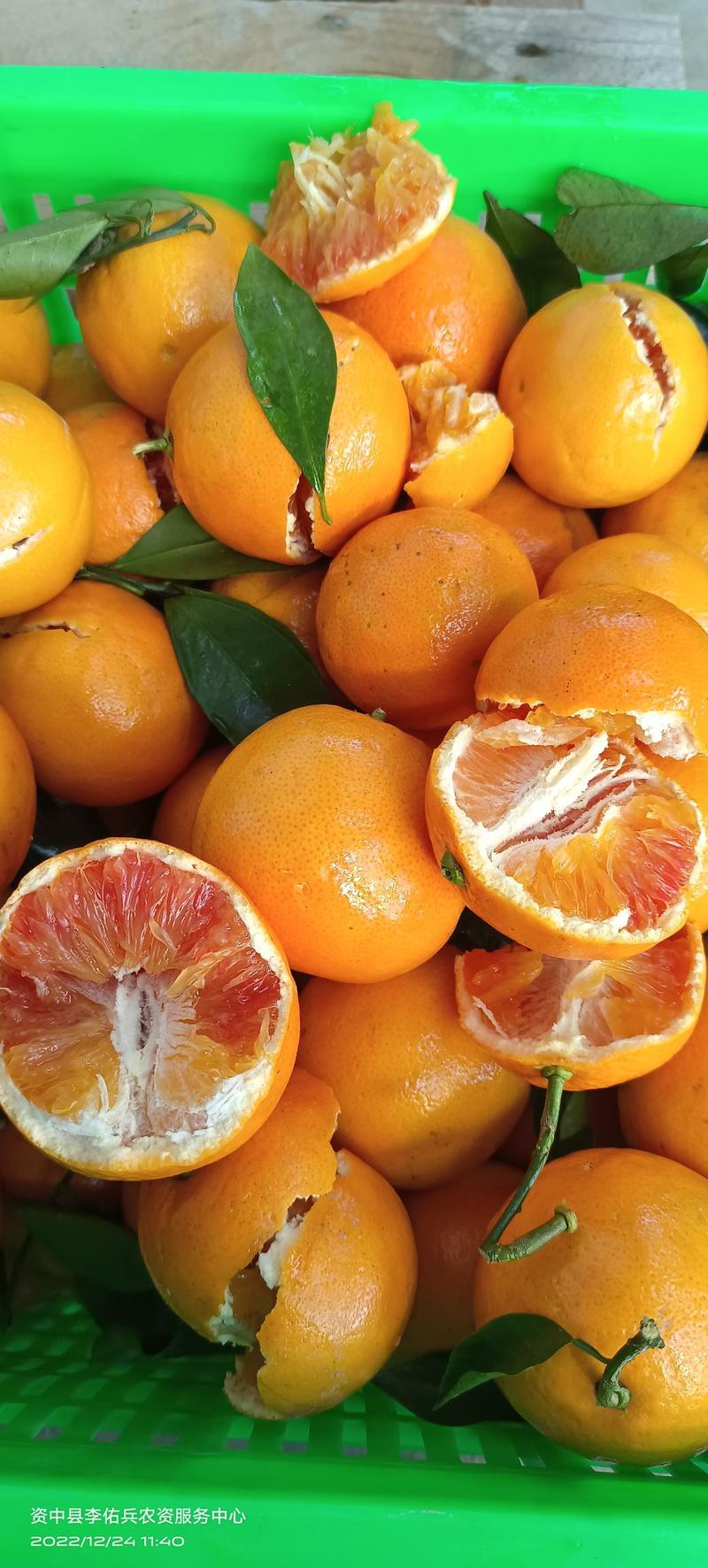 资中塔罗科血橙，对接各大电商，市场，社区团购