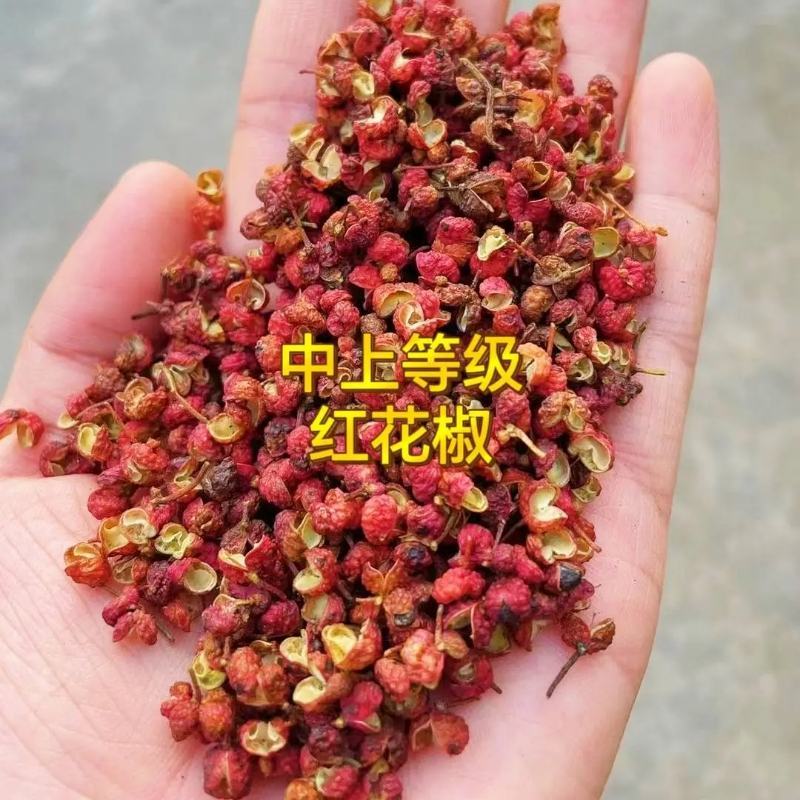 新货四川汉源正宗大红袍花椒粒批发食用红花椒粒特香特麻香辛