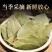 正宗广西头茬新货香叶桂皮八角调味品卤料炖肉料炒菜调料香叶